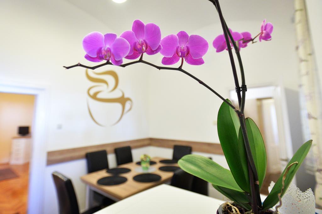 Foter Apartman 埃格尔 外观 照片
